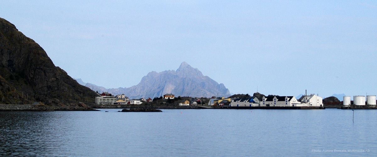 Arbeidsprøve – BI Markedsførings Ledelse