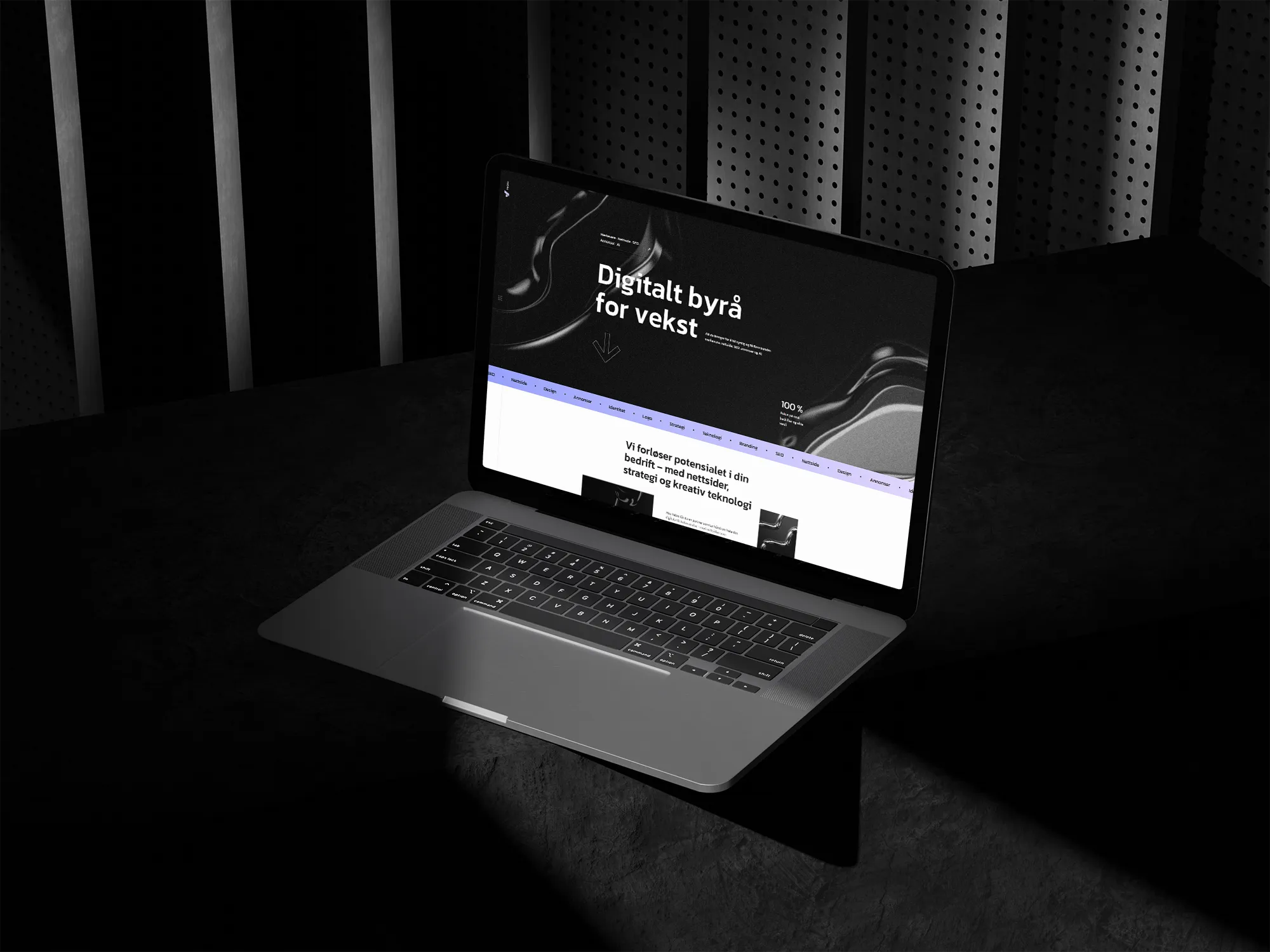 Arbeidsprøve – Rafał Wróblewski – Grafisk designer & WordPress-utvikler (Hesperion, Vebio, Virtua, Muninn)