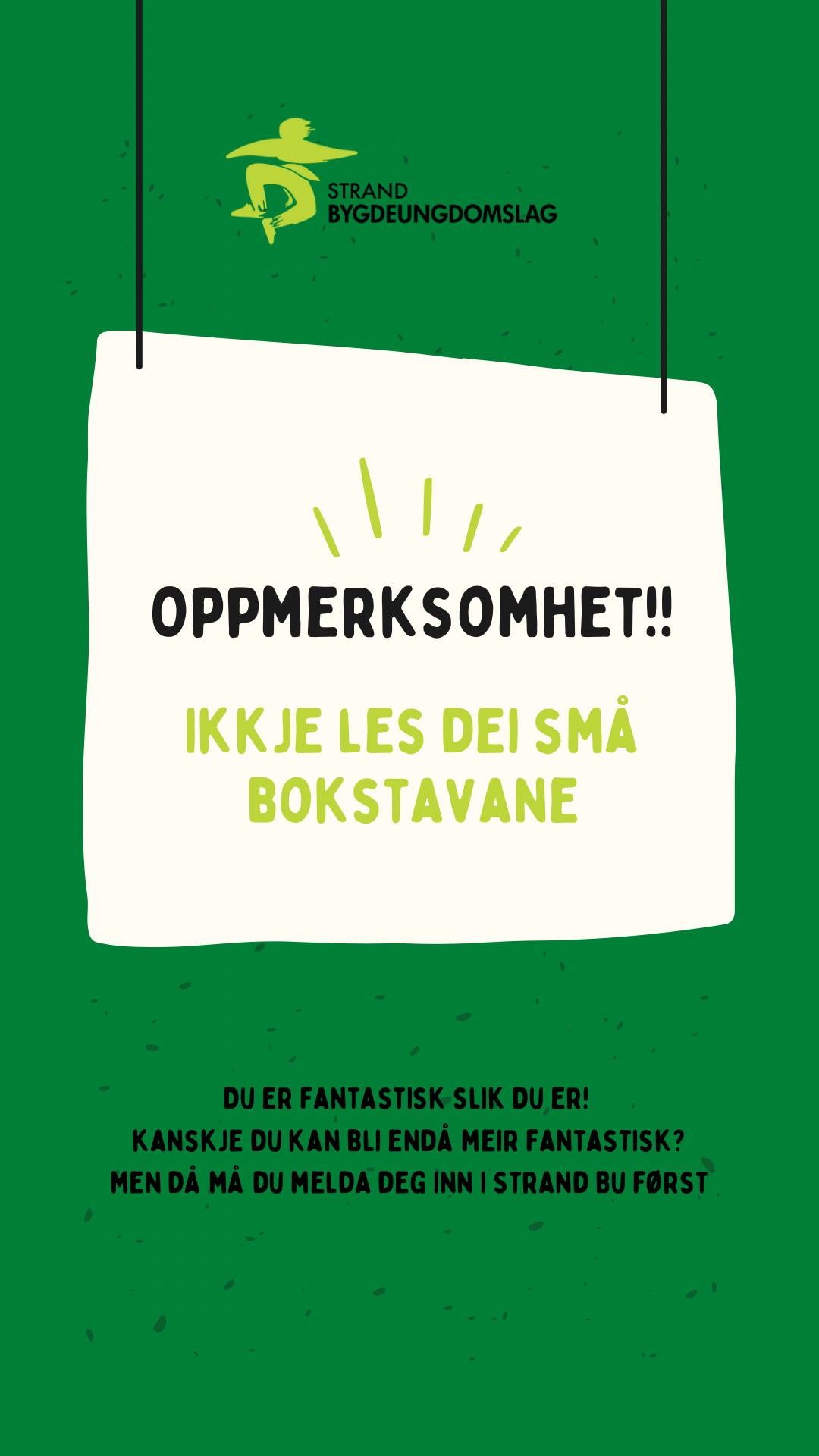 Arbeidsprøve – frilanser i grafisk design og illustrasjon