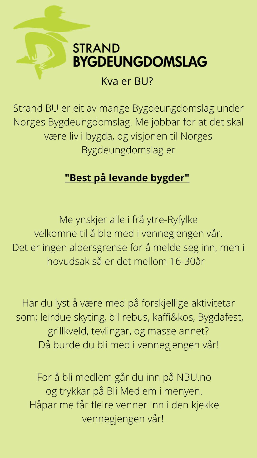 Arbeidsprøve – frilanser i grafisk design og illustrasjon