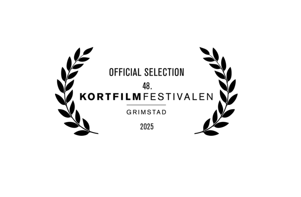Arbeidsprøve – Lydtekniker kortfilm, reklame og sosiale medier