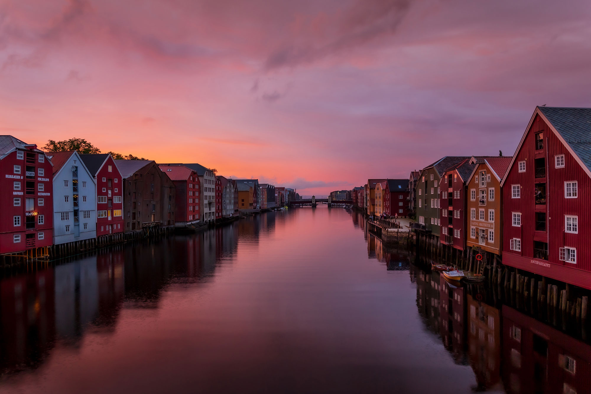 Arbeidsprøve – Fotograf Javad Montazeri